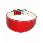 369-RED